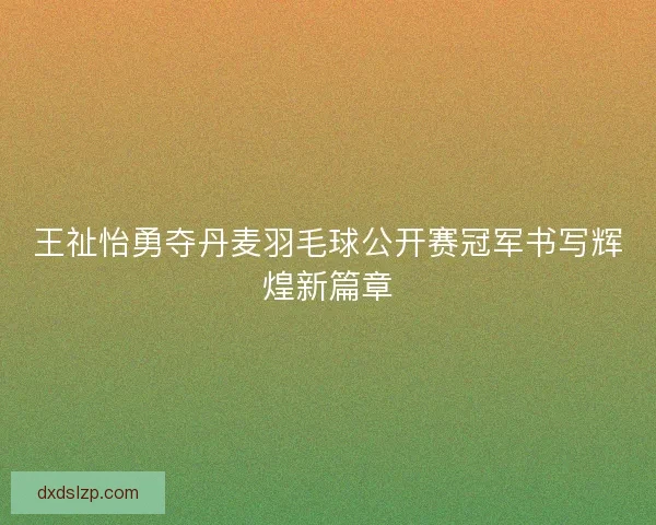 王祉怡勇夺丹麦羽毛球公开赛冠军书写辉煌新篇章 王祉怡勇夺丹麦羽毛球公开赛冠军书写辉煌新篇章