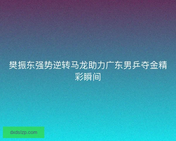 樊振东强势逆转马龙助力广东男乒夺金精彩瞬间 樊振东强势逆转马龙助力广东男乒夺金精彩瞬间