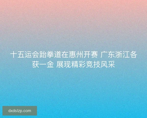 十五运会跆拳道在惠州开赛 广东浙江各获一金 展现精彩竞技风采