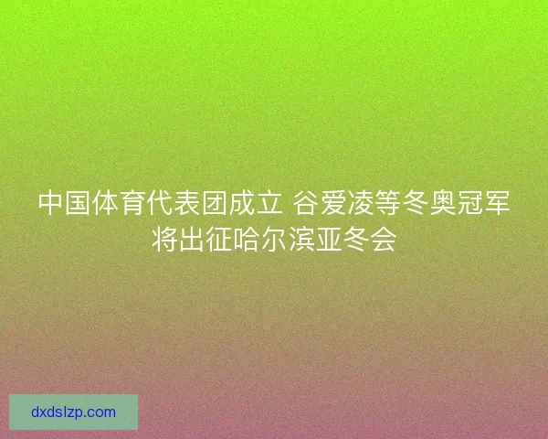 中国体育代表团成立 谷爱凌等冬奥冠军将出征哈尔滨亚冬会 中国体育代表团成立 谷爱凌等冬奥冠军将出征哈尔滨亚冬会